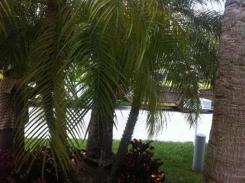 Expert landscape design for beautiful yards in Loxahatchee, FL by Acosta's Tree Services and Lawn Maintenance