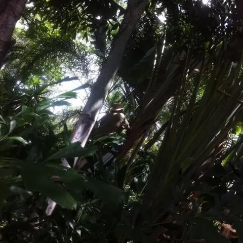 Trusted garden landscaping for outdoor upgrades in Loxahatchee, FL by Acosta's Tree Services and Lawn Maintenance