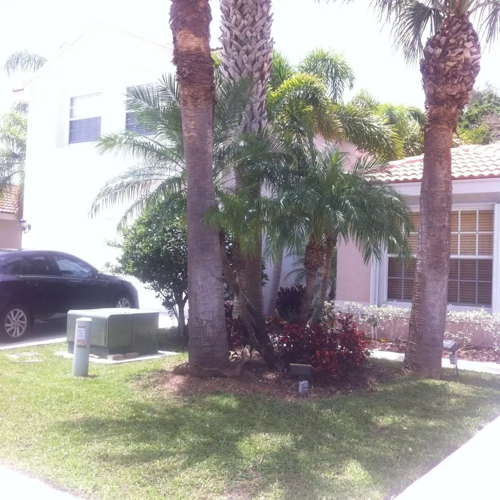 Reliable landscaping services for beautiful yards in Loxahatchee, FL by Acosta's Tree Services and Lawn Maintenance
