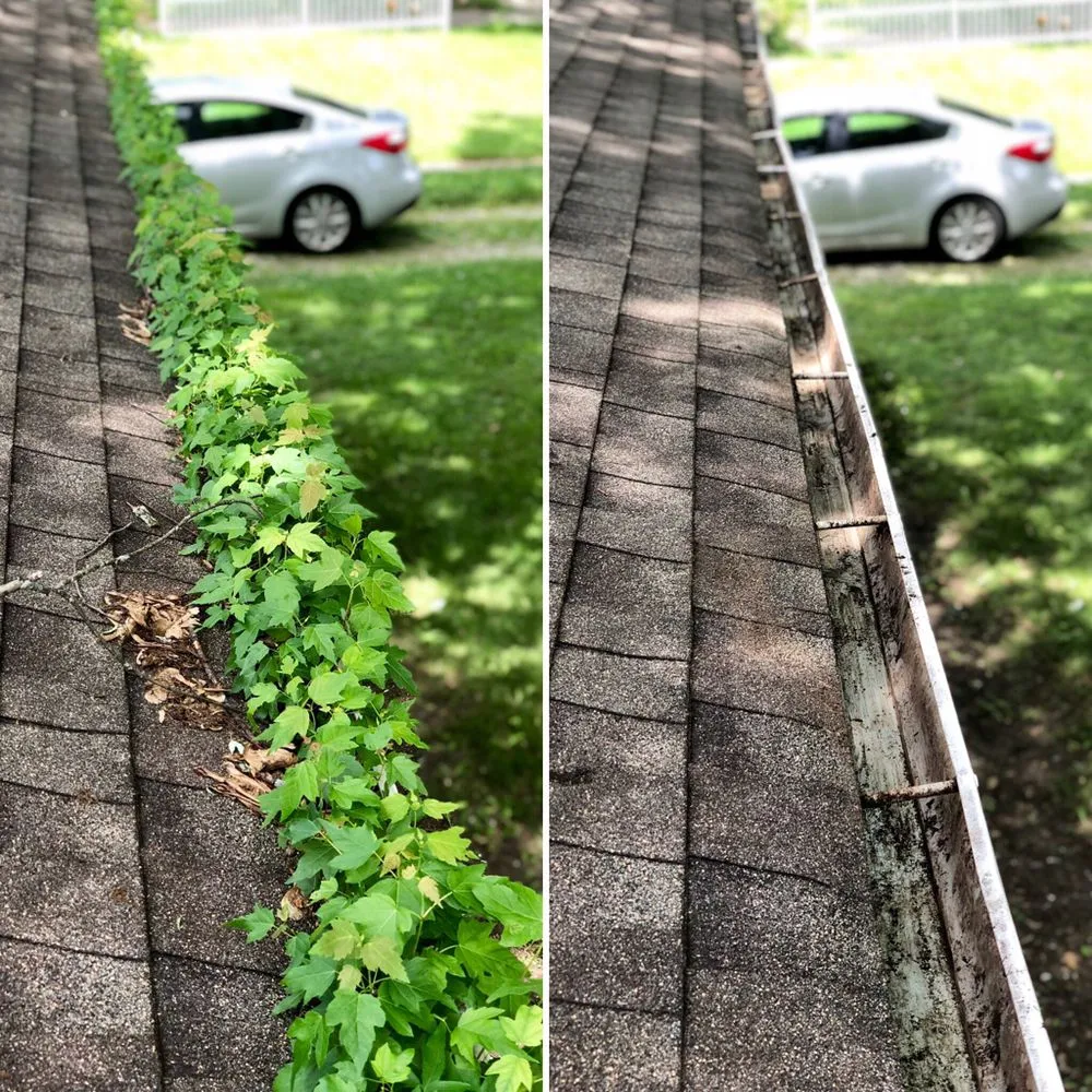 Trusted yard maintenance experts serving Indianapolis, IN - ACR Property Management