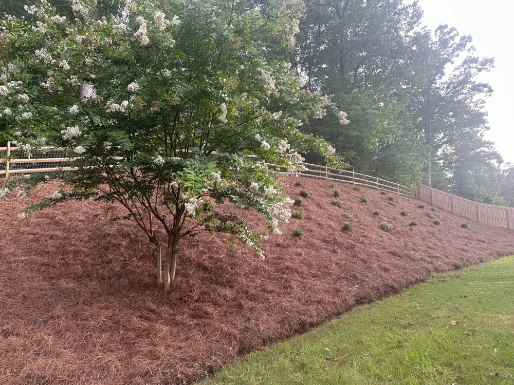 Custom yard cleanup service experts serving Edgemoor, SC - Acre Lawn Care