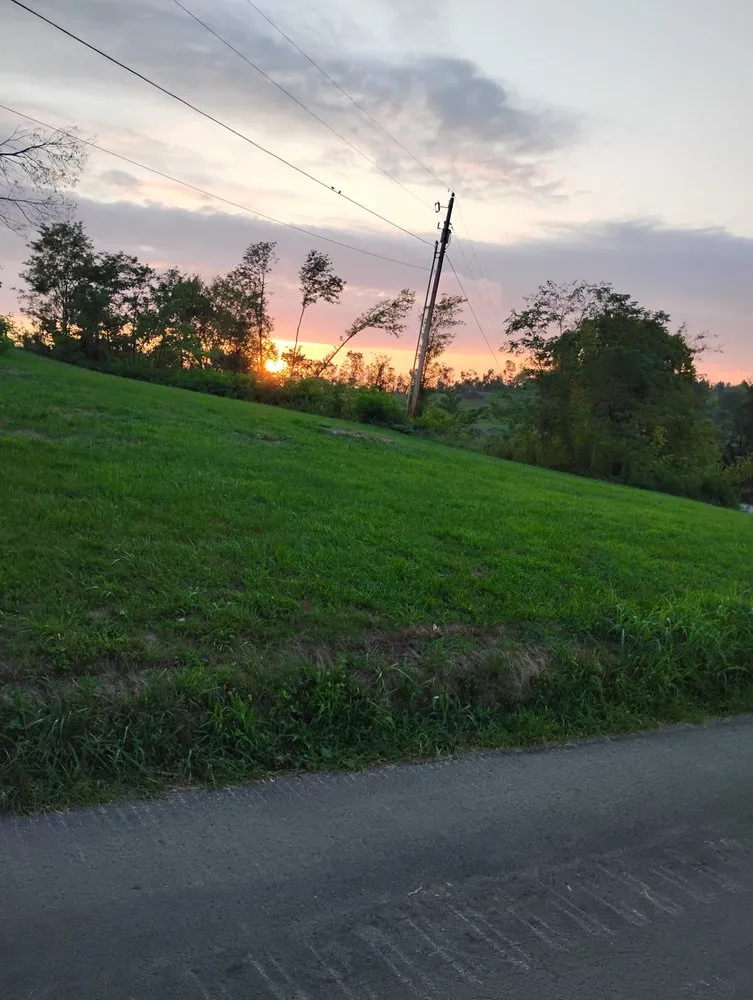 Local yard cleanup service in New Market, AL by Acre Plus Lawncare