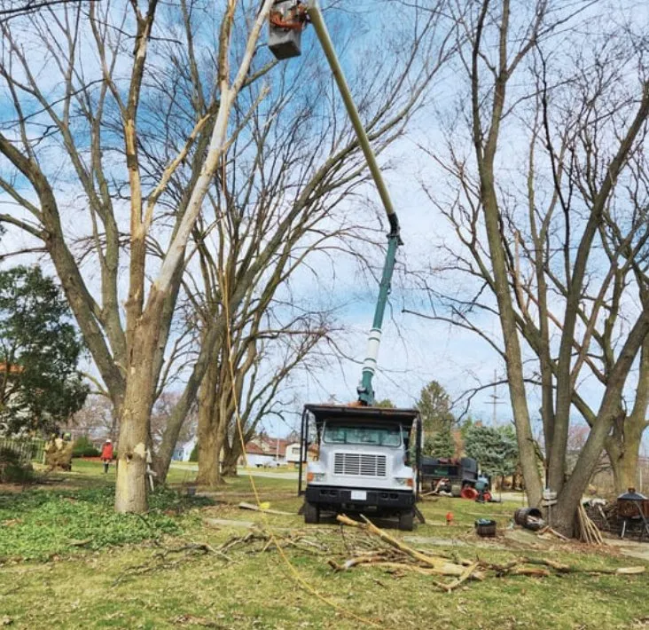 Reliable outdoor landscaping in Kildeer, IL - Acre Plus Management