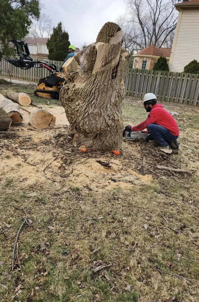 Affordable landscaping services experts serving Kildeer, IL - Acre Plus Management