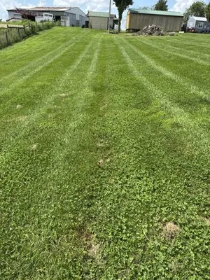 Acree Lawn Care Logo