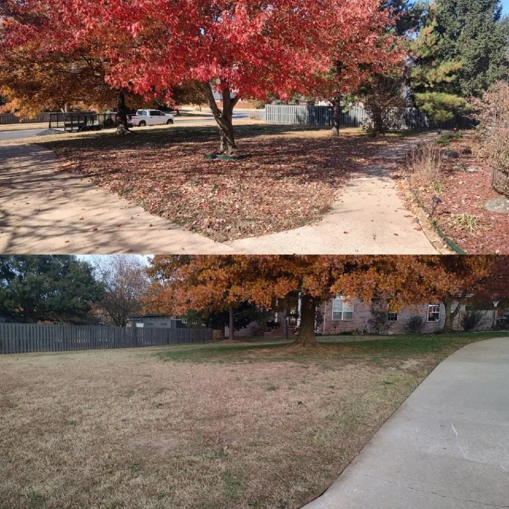 Top-rated yard cleanup service experts serving Washburn, MO - Acres and Home Lawn Care