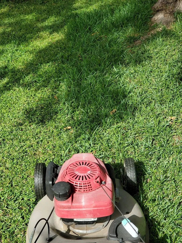 Trusted landscaping services for year-round maintenance across Liberty Hill, TX - Acres Away