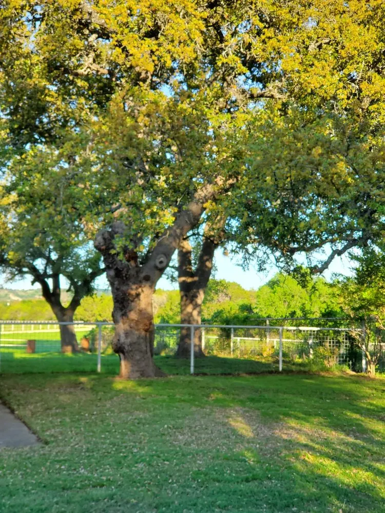 Top-rated landscape installation experts serving Liberty Hill, TX - Acres Away