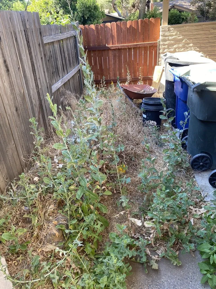 Expert yard cleanup service in Lincoln, CA by Acres Design and Landscape