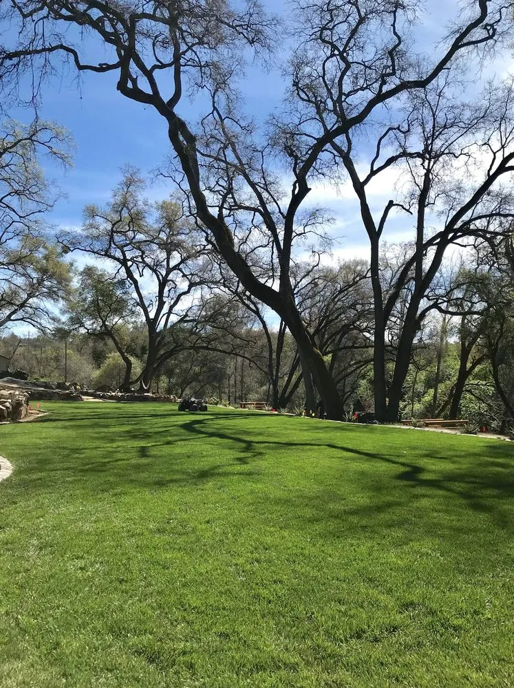 Reliable garden landscaping near you in Lincoln, CA by Acres Design and Landscape