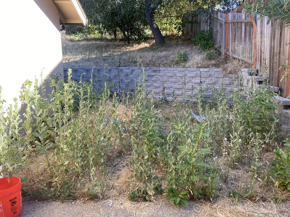 Affordable garden landscaping experts serving Lincoln, CA - Acres Design and Landscape