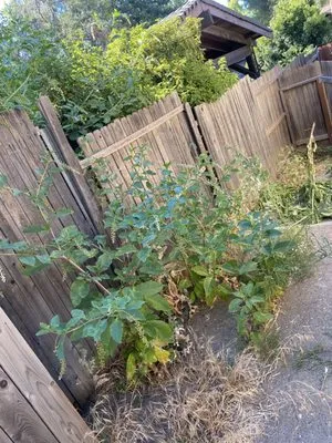 Acres Design and Landscape