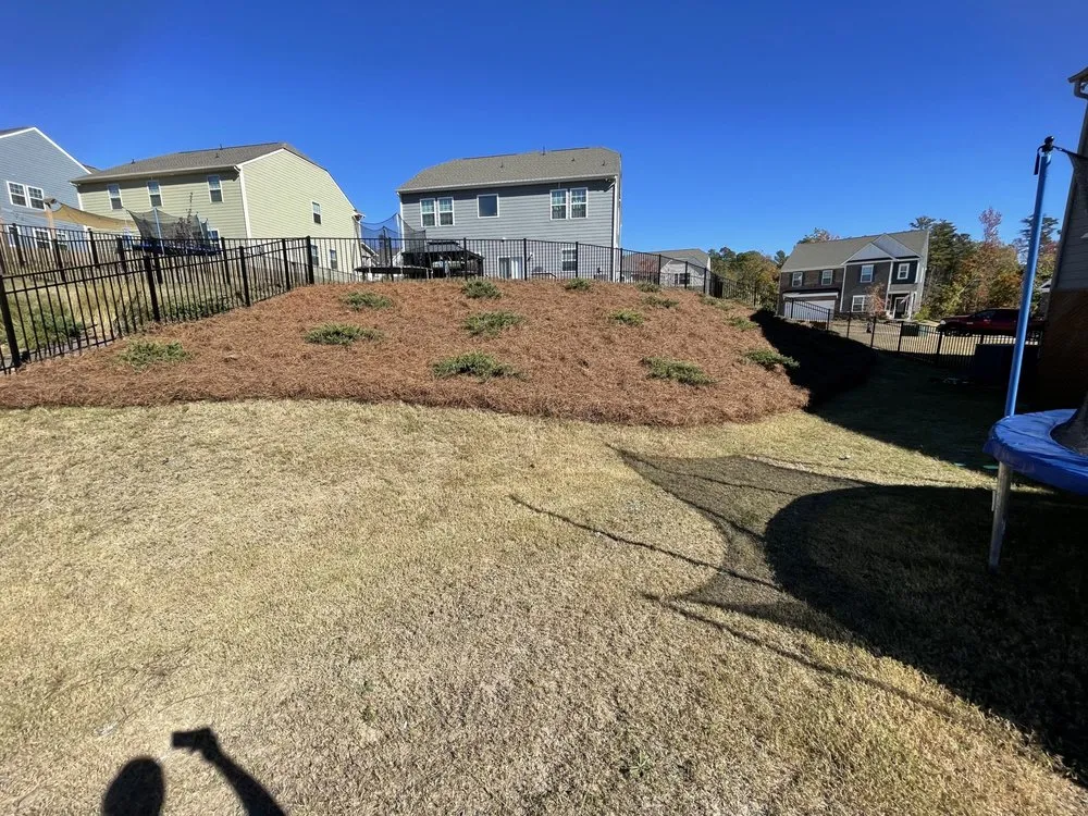 Top-rated yard maintenance experts serving Concord, NC - Acres Group