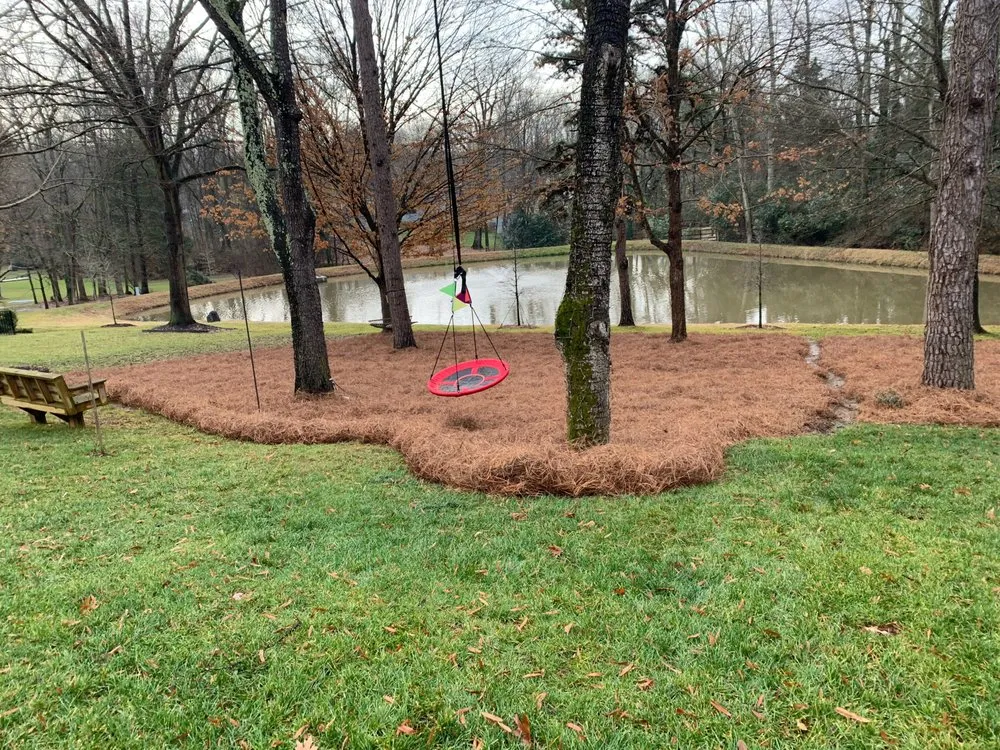 Affordable yard cleanup service in Concord, NC - Acres Group