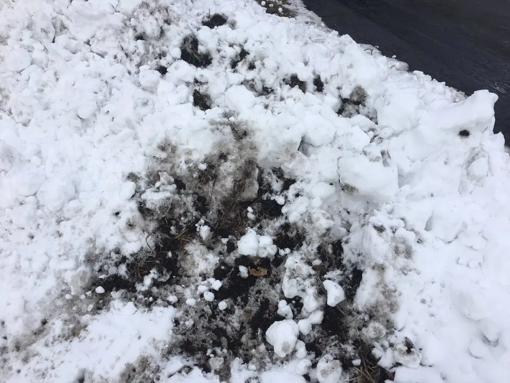 Affordable yard maintenance in Plainfield, IL by Acres Group