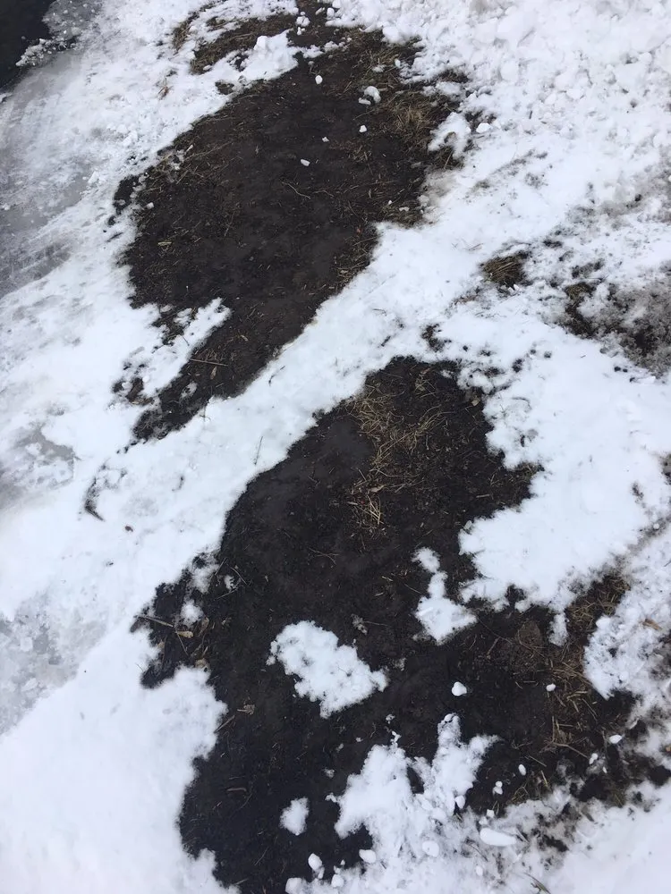 Affordable landscape design experts serving Plainfield, IL - Acres Group