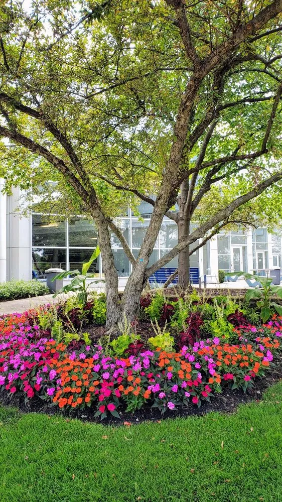 Trusted yard cleanup service with custom design in Plainfield, IL by Acres Group