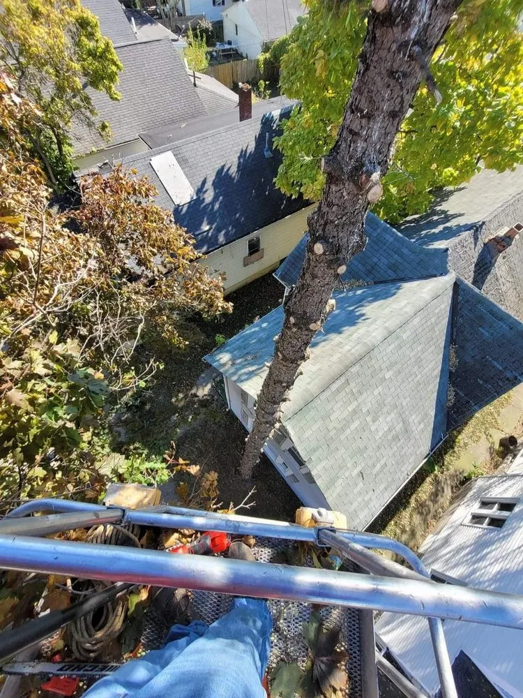 Trusted yard maintenance experts serving Sandusky, OH - Acre's Landscaping And Lawn Care