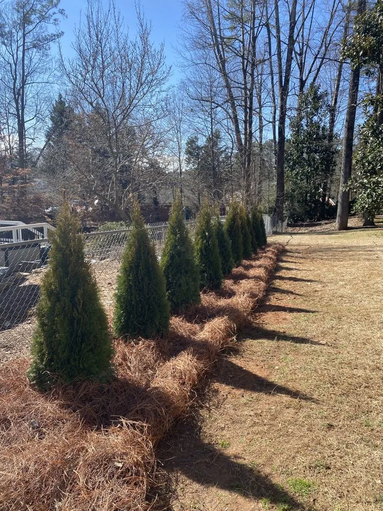 Affordable yard cleanup service experts serving Kennesaw, GA - Acres of Green Landscape and Pressure Wash