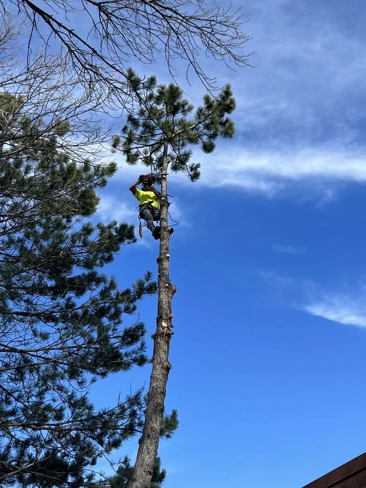 Expert outdoor landscaping experts serving Coon Rapids, MN - Acropolis Outdoor Services