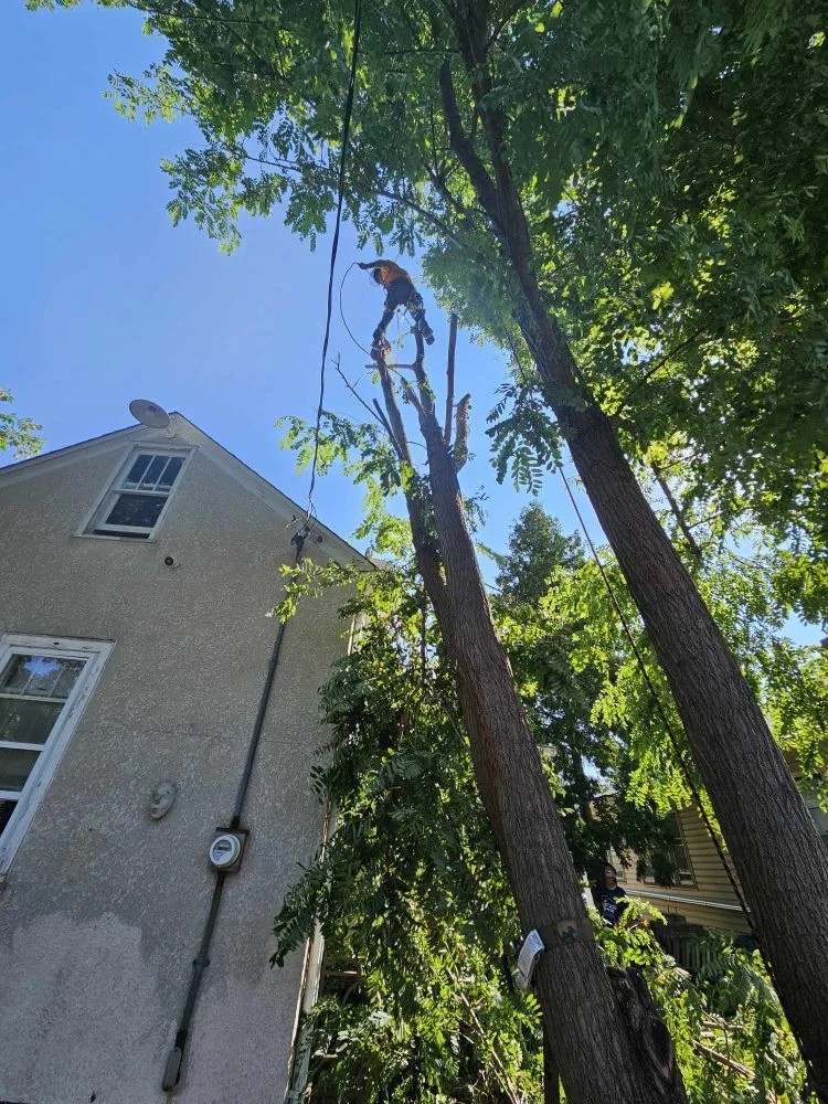Custom lawn care service in Coon Rapids, MN by Acropolis Outdoor Services