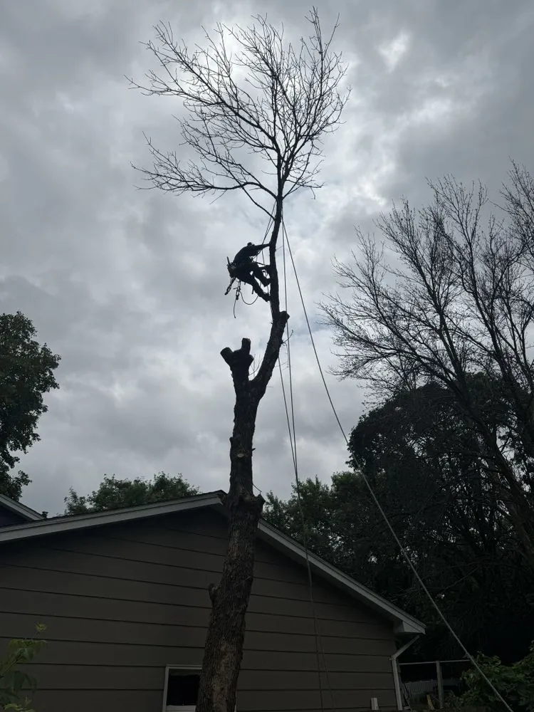 Reliable residential landscaping in Coon Rapids, MN by Acropolis Outdoor Services