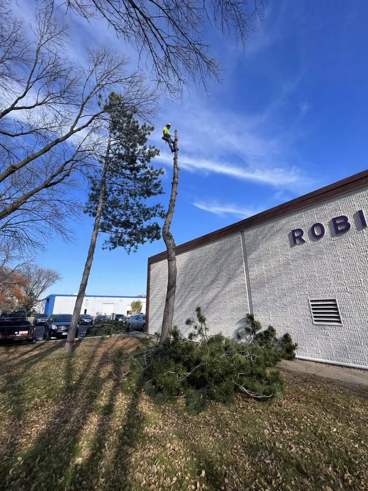 Trusted lawn mowing service in Coon Rapids, MN - Acropolis Outdoor Services