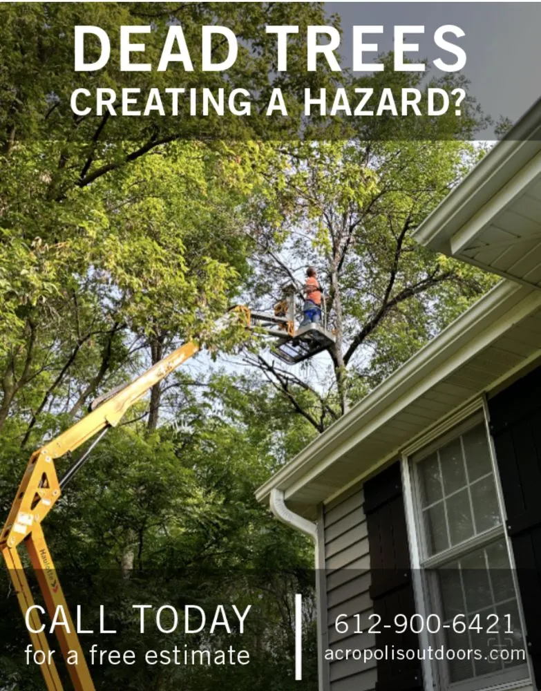 Reliable yard cleanup service for homes in Coon Rapids, MN by Acropolis Outdoor Services