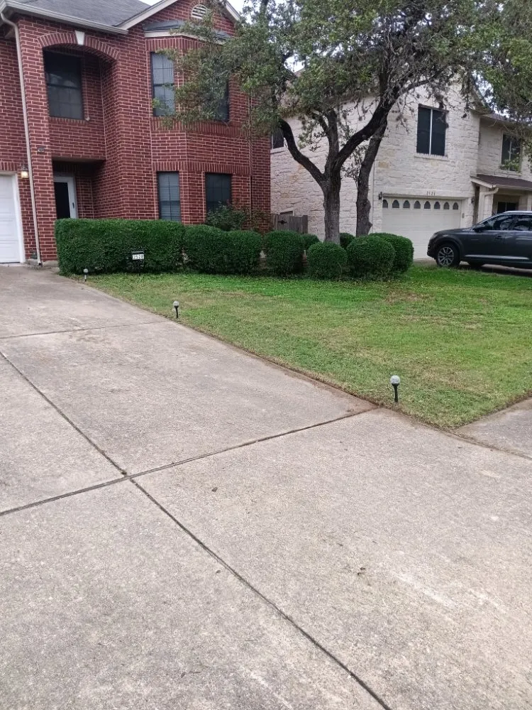 Expert yard cleanup service in Austin, TX - AC's Grass Guardians