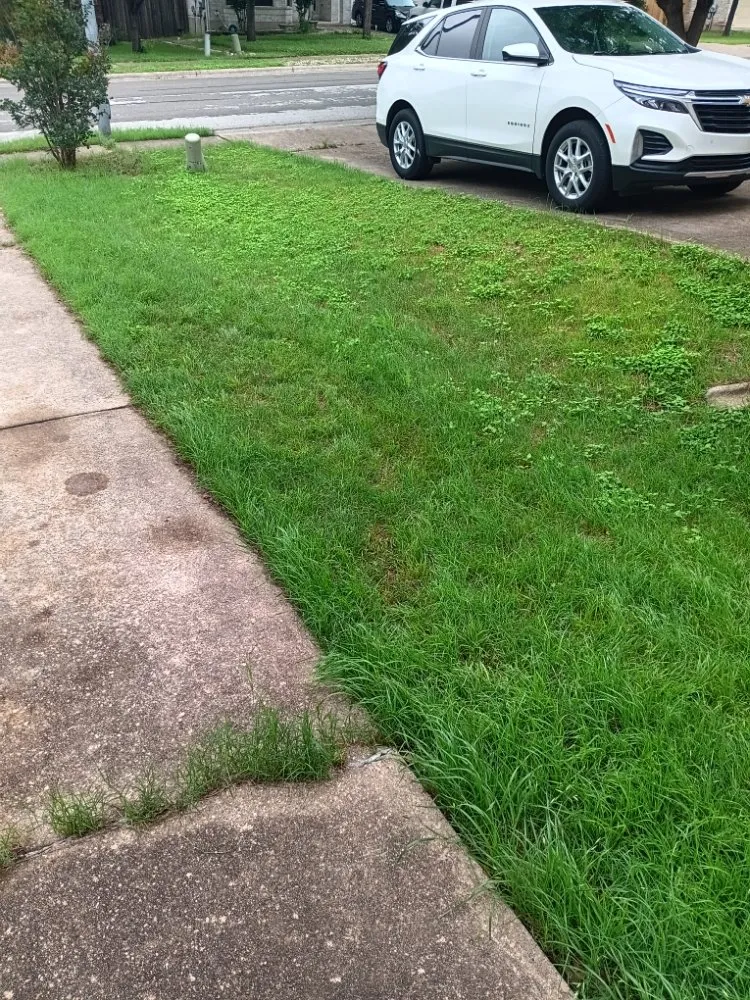 Custom landscape installation near you across Austin, TX - AC's Grass Guardians