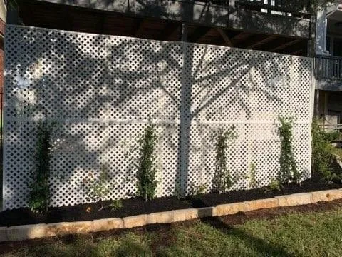 Top-rated landscape design for homes across Belton, TX - ACS Home and Commercial Services