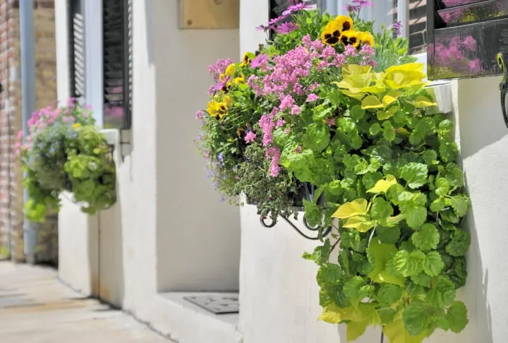 Reliable lawn mowing service for residential properties in Plant City, FL by ACS Interior Plant Services