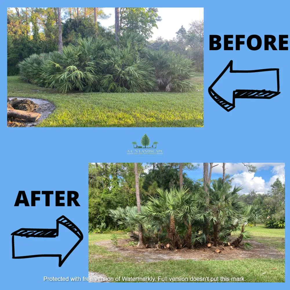 Affordable landscape design in Coral Springs, FL by A.C.'s Landscape and Lawn Maintenance