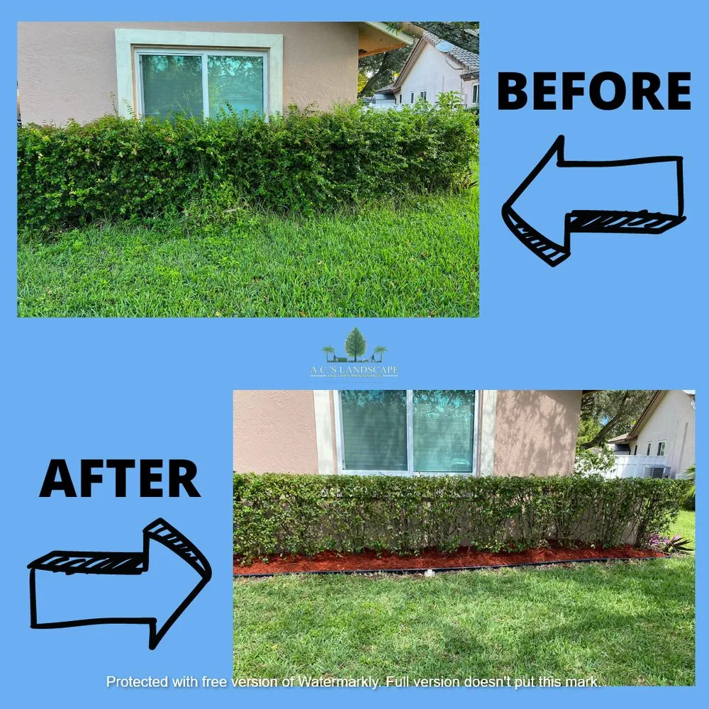 Affordable yard maintenance experts serving Coral Springs, FL - A.C.'s Landscape and Lawn Maintenance
