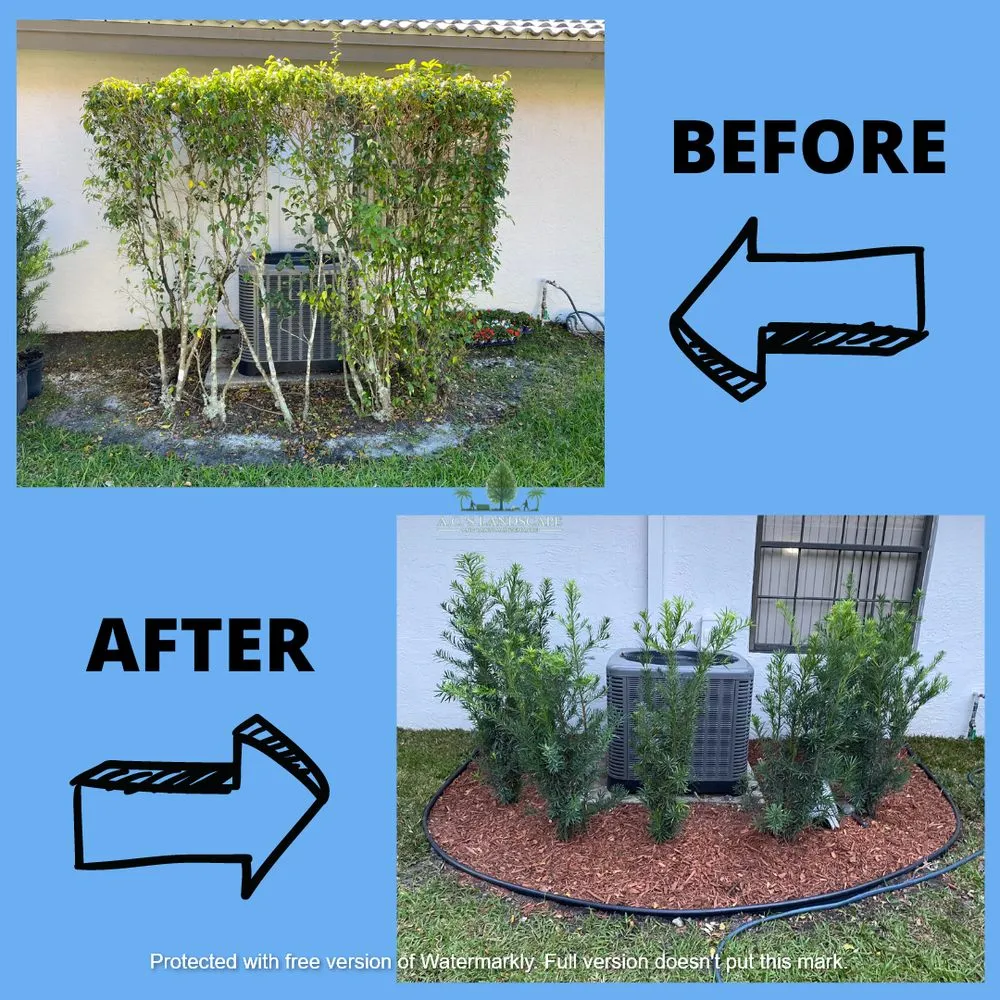 Custom yard cleanup service for beautiful yards across Coral Springs, FL - A.C.'s Landscape and Lawn Maintenance