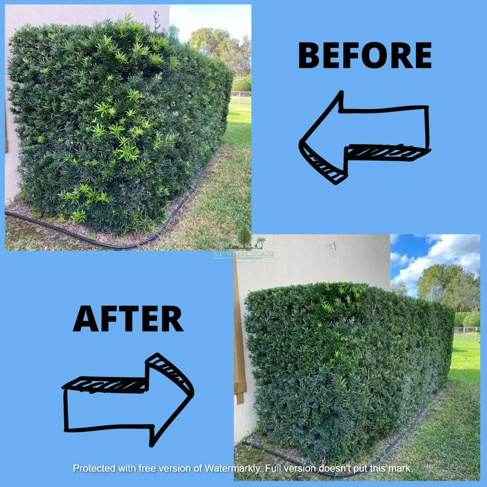 Affordable lawn care service for beautiful yards in Coral Springs, FL by A.C.'s Landscape and Lawn Maintenance