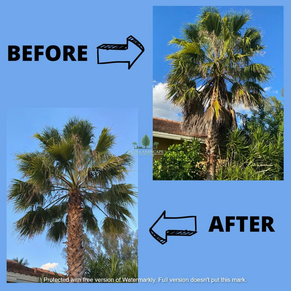 Reliable landscaping services with custom design across Coral Springs, FL - A.C.'s Landscape and Lawn Maintenance