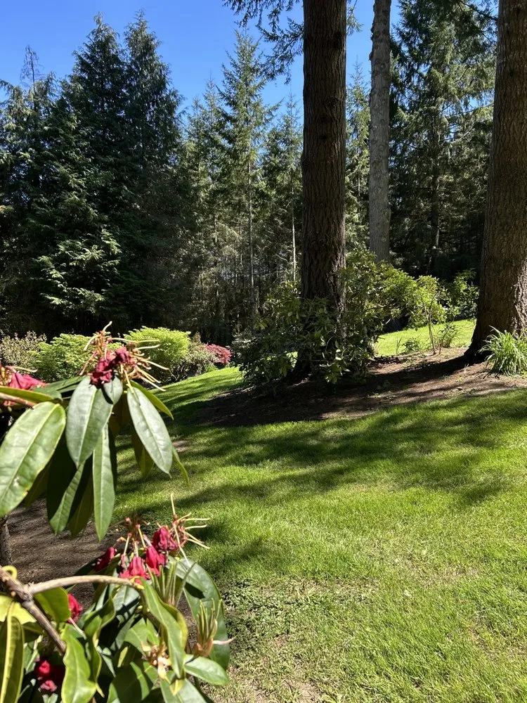 Affordable landscape design experts serving Kelso, WA - ACS Property Maintenance and Landscaping