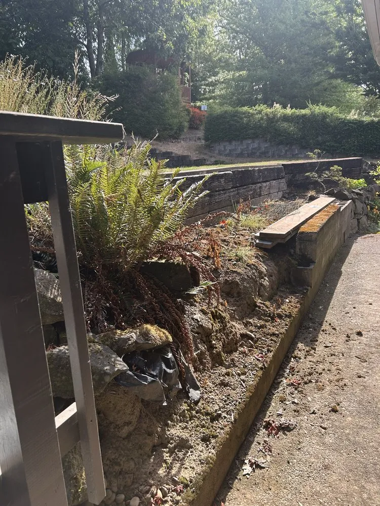 Affordable lawn care service in Kelso, WA - ACS Property Maintenance and Landscaping