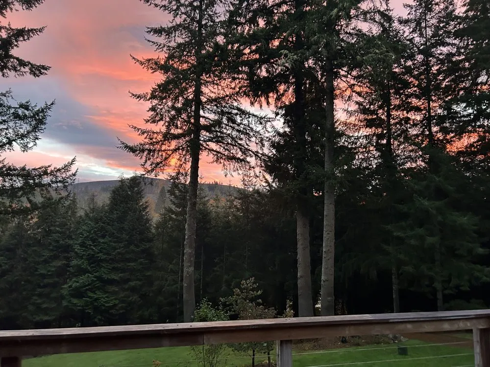 Affordable yard cleanup service in Kelso, WA - ACS Property Maintenance and Landscaping