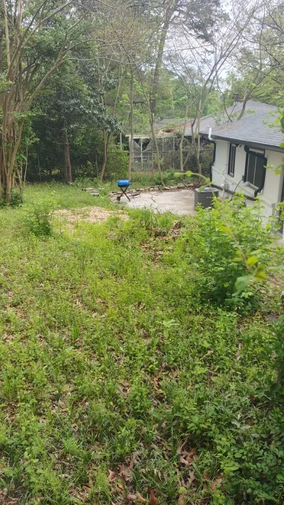 Top-rated lawn care service for beautiful yards across Union City, GA - AC&T Landscaping