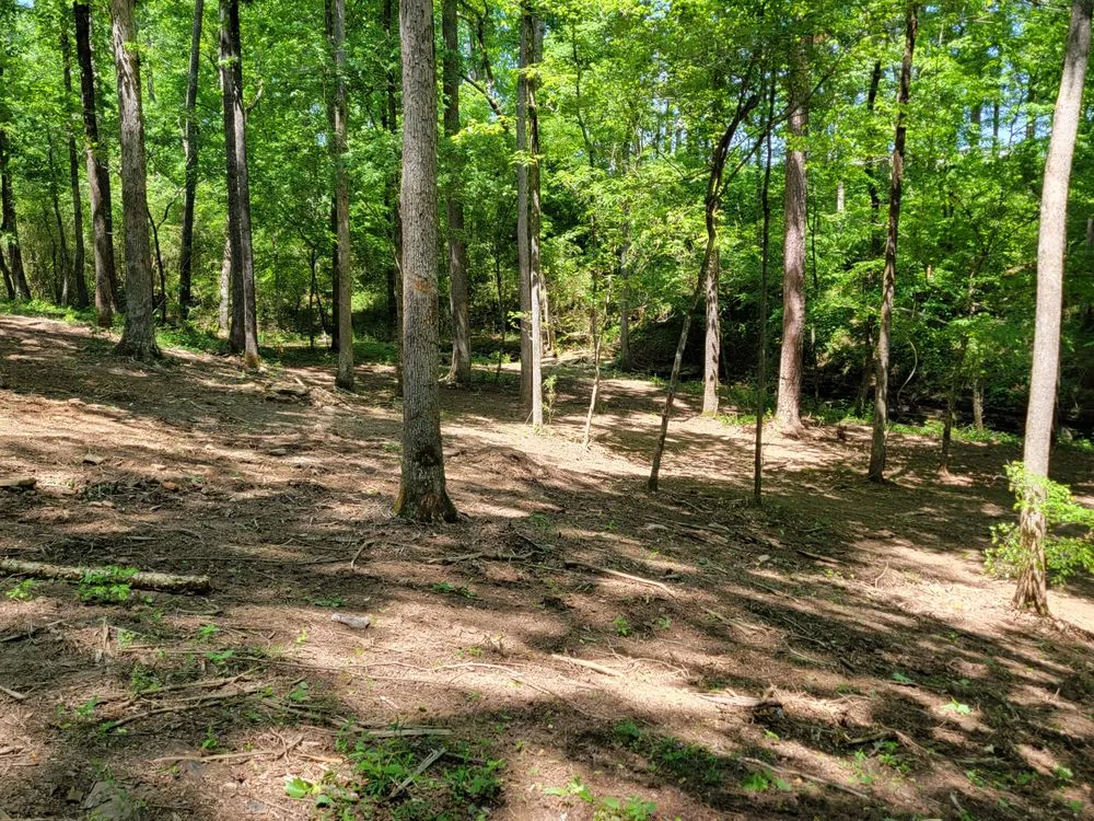 Reliable yard cleanup service for outdoor upgrades across Cullman, AL - Act Now Construction