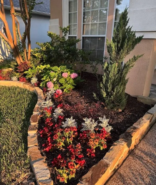 Local yard cleanup service experts serving Dallas, TX - Act Now Landscape Design