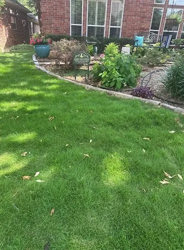 Reliable landscape design for homes in Dallas, TX by Act Now Landscape Design