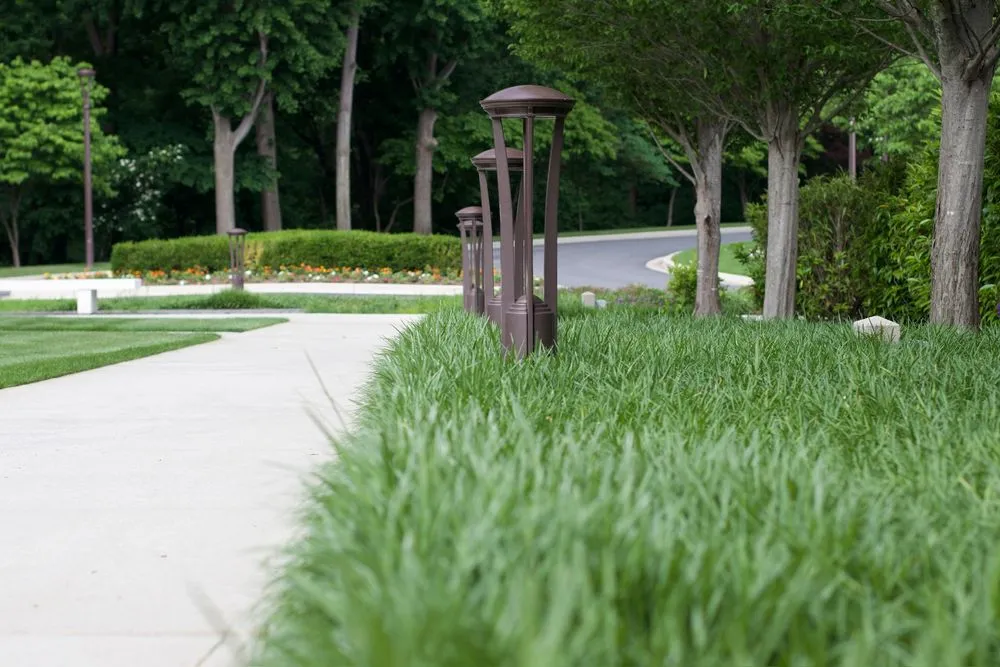 Professional yard cleanup service experts serving Beltsville, MD - Actaeon