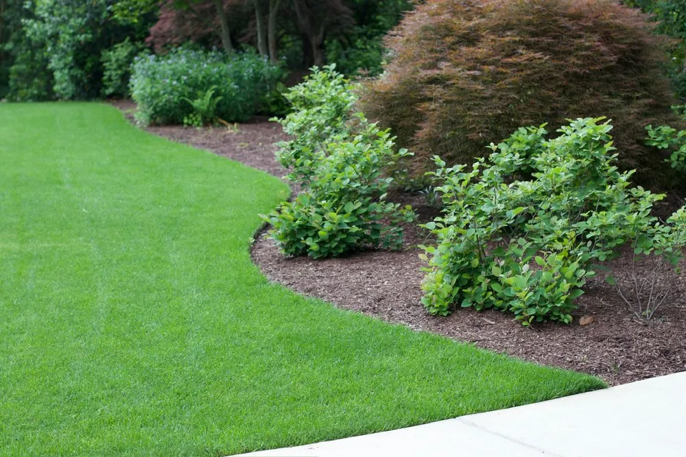 Professional residential landscaping in Beltsville, MD - Actaeon