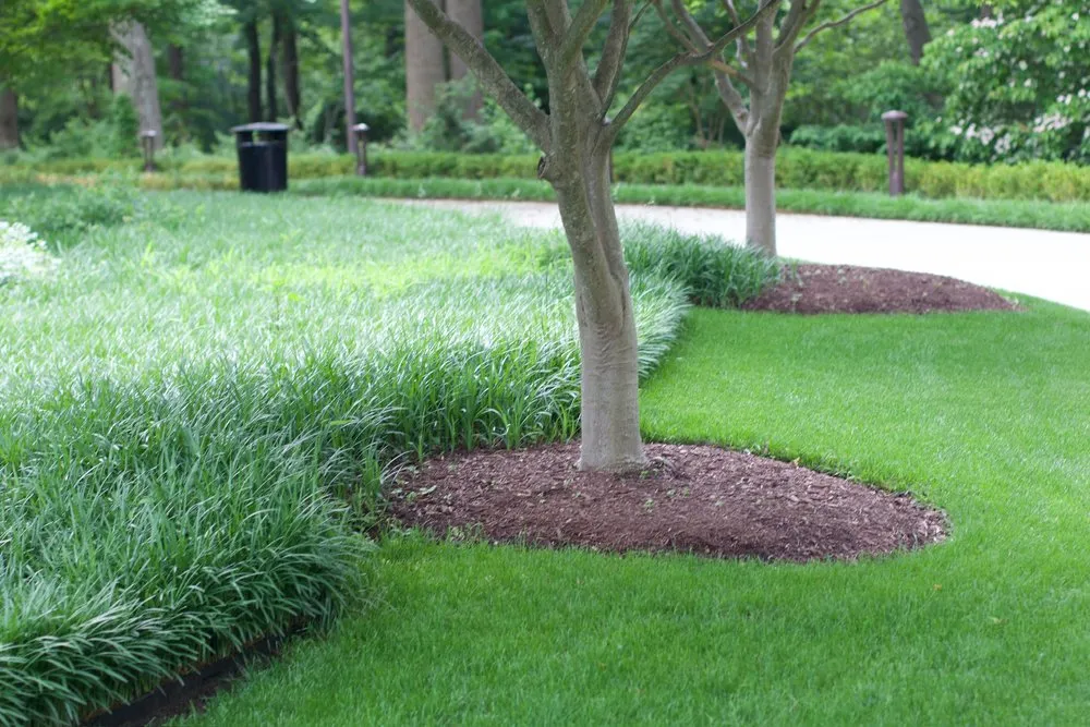 Trusted garden landscaping with custom design across Beltsville, MD - Actaeon