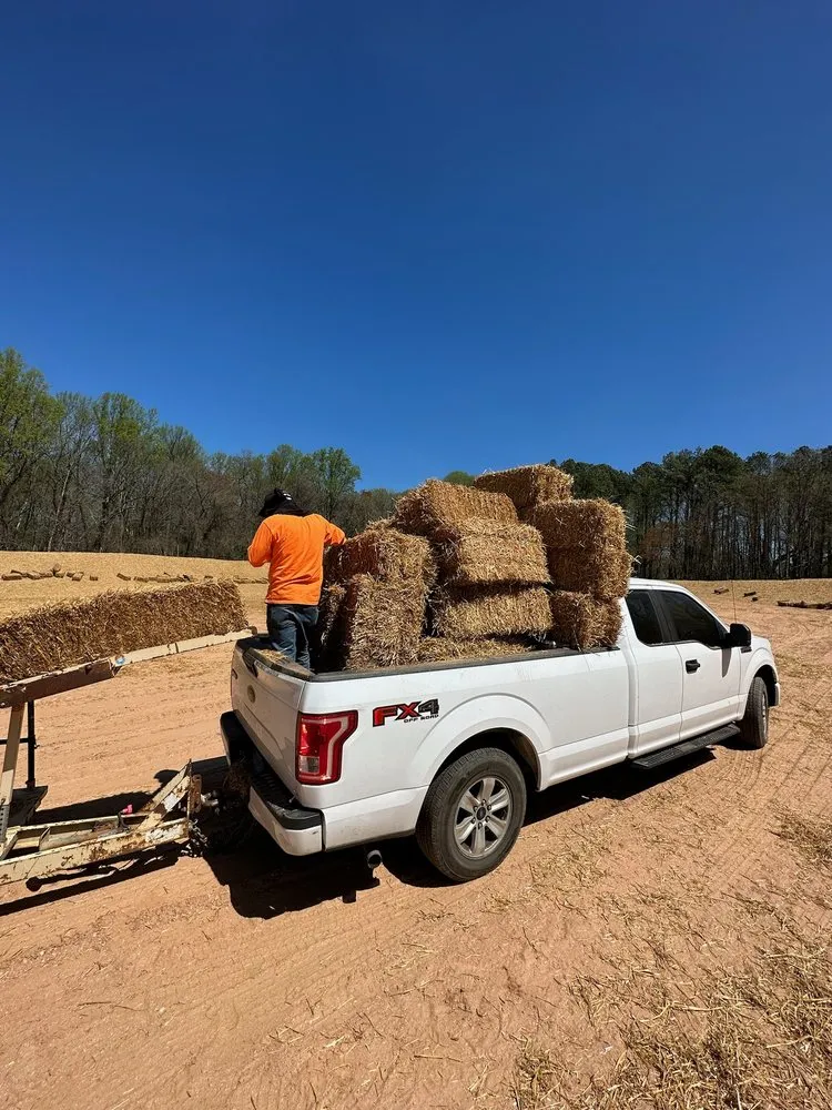 Expert landscape installation near you across Beltsville, MD - Actaeon