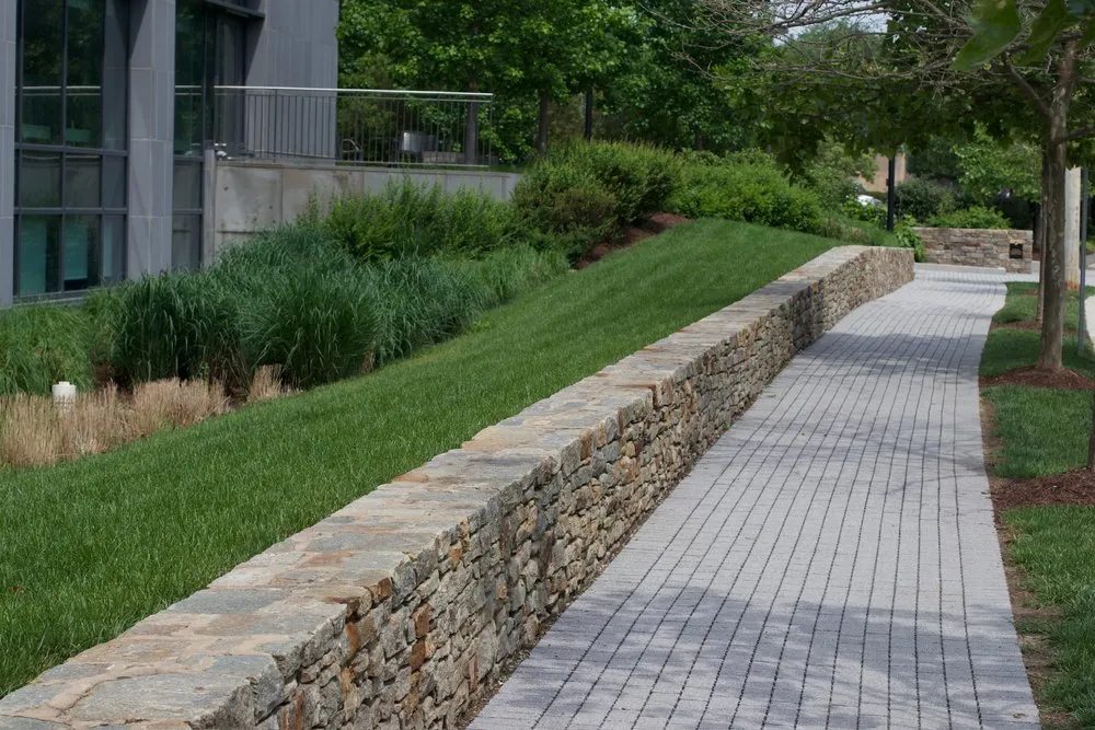 Expert landscaping services in Beltsville, MD - Actaeon