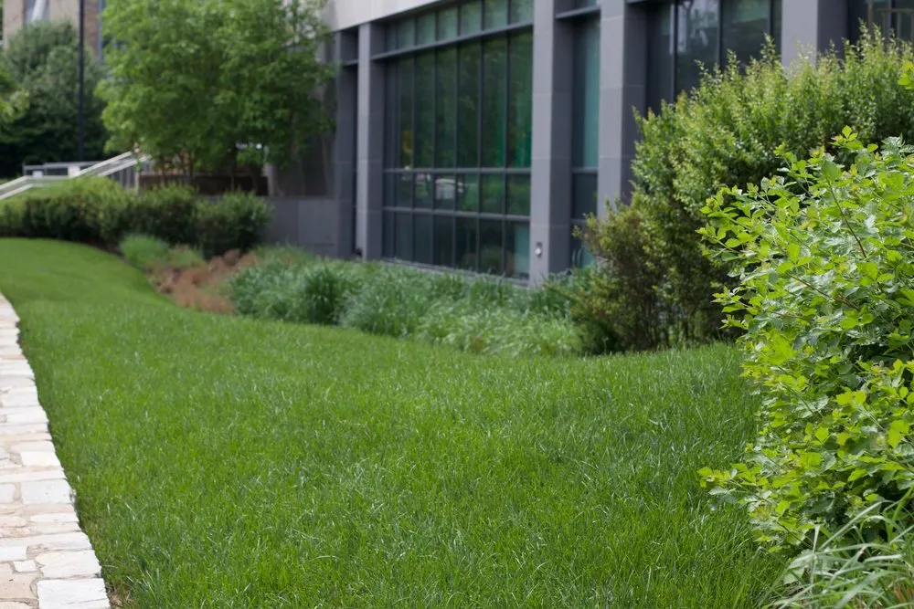 Affordable lawn care service in Beltsville, MD by Actaeon